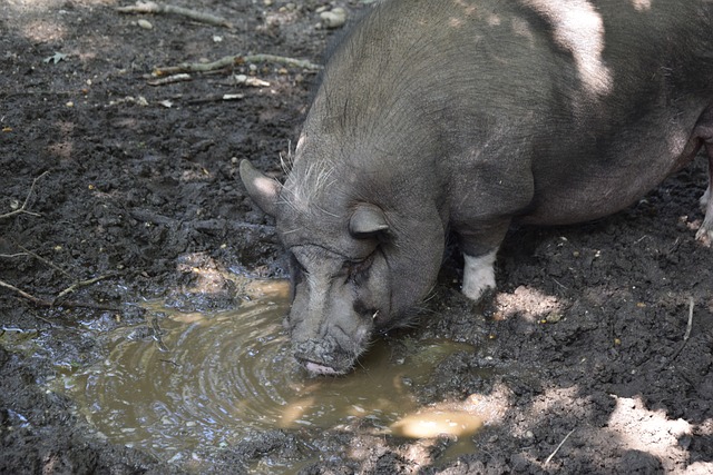 邮报：马奎尔被指控希腊袭击警察案将在今年10月8日重新开庭